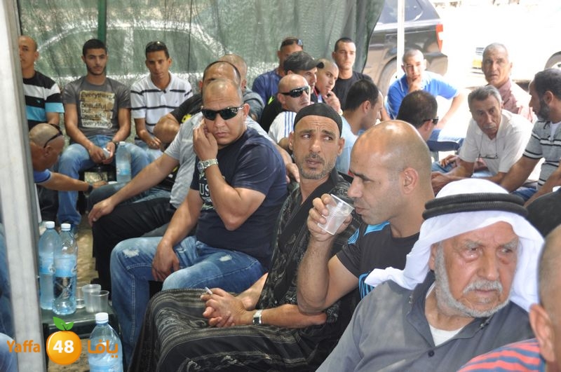 sol7desoqylud615 (9).JPG